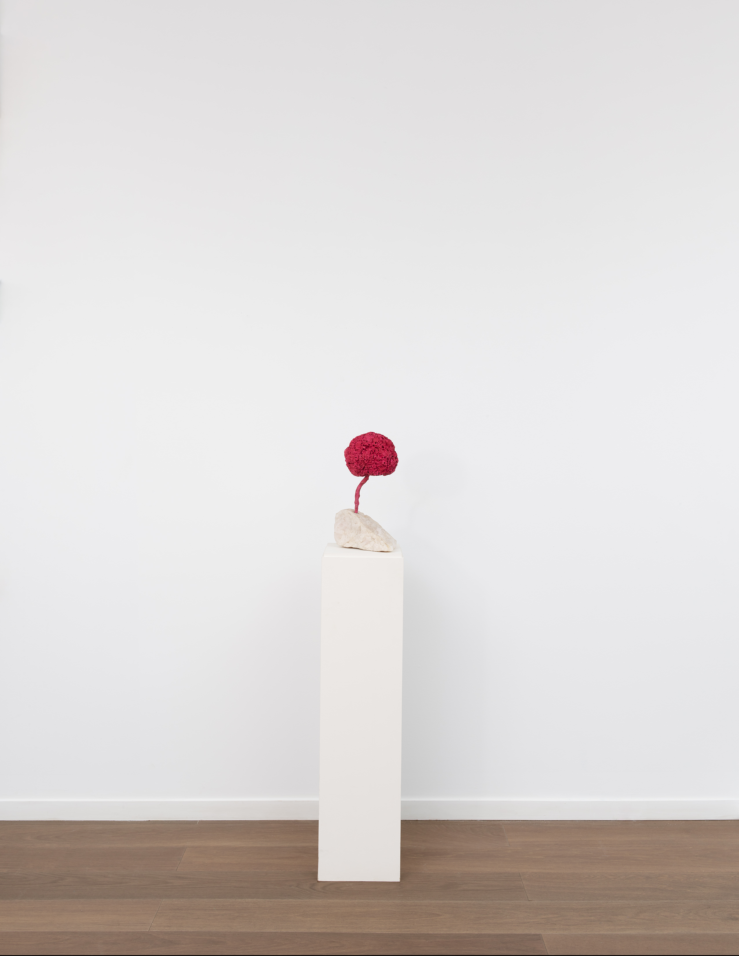 Install view of Yves Klein's sculpture Untitled Pink Sponge (SE 204), 1959