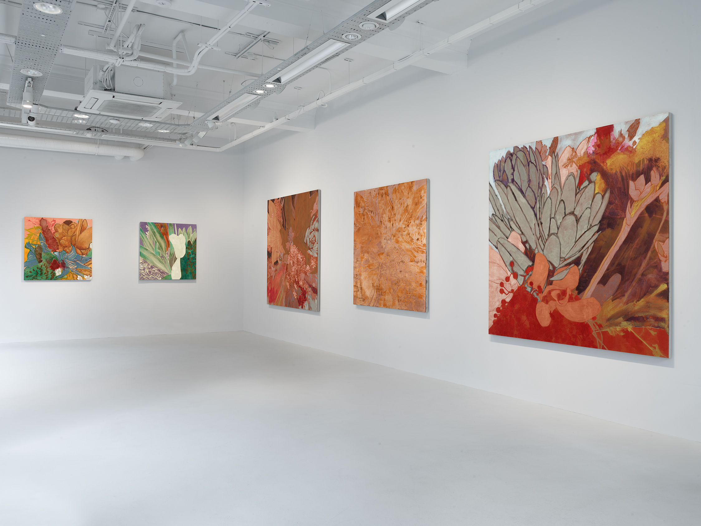 Installation view of Francesco Clemente: Winter Flowers at 40 Albemarle Street