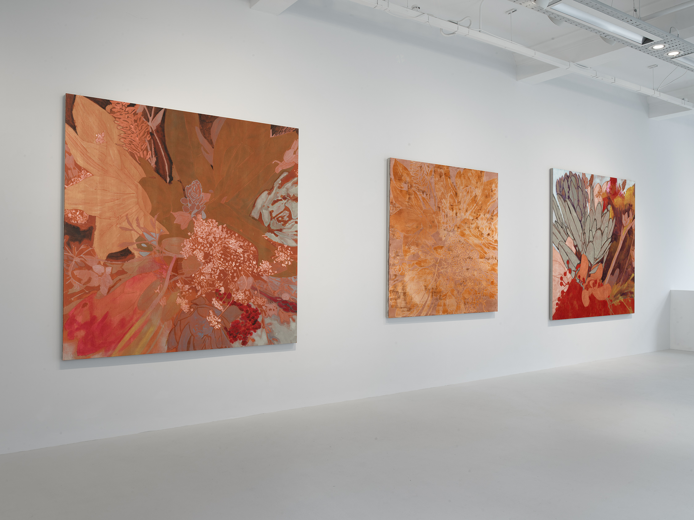 Installation view of Francesco Clemente: Winter Flowers at 40 Albemarle Street