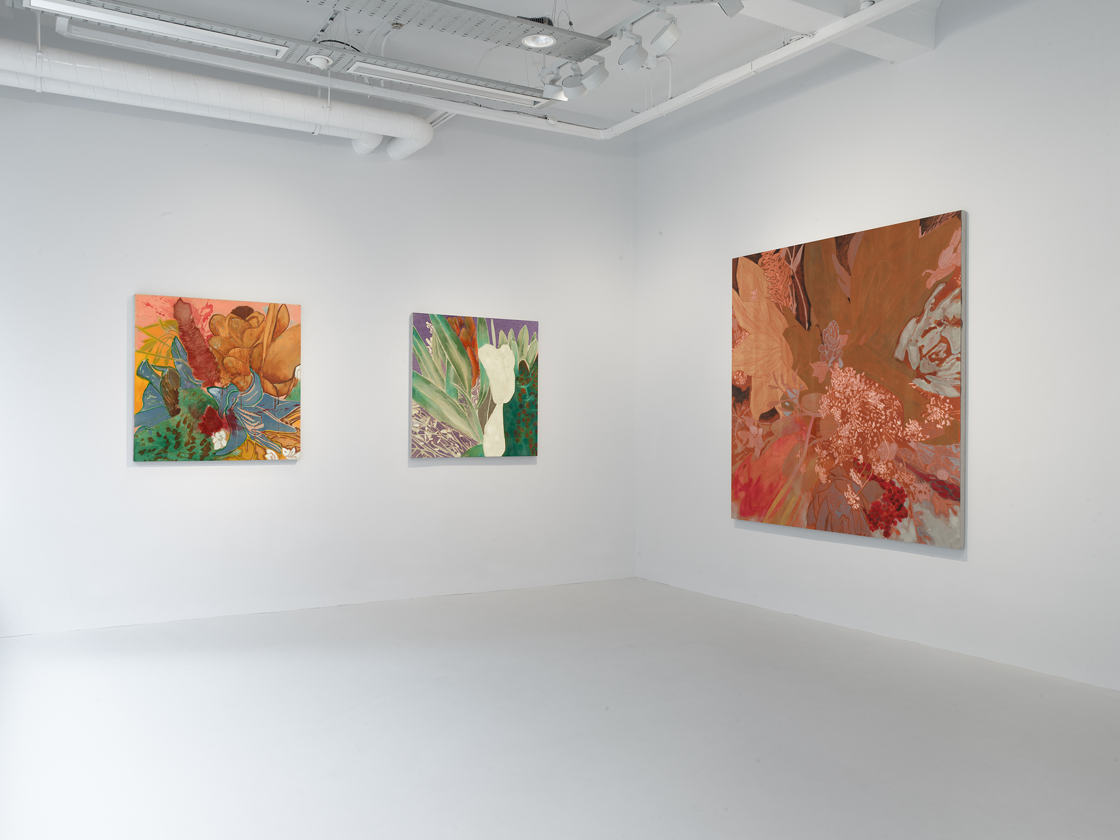 Installation view of Francesco Clemente: Winter Flowers at 40 Albemarle Street