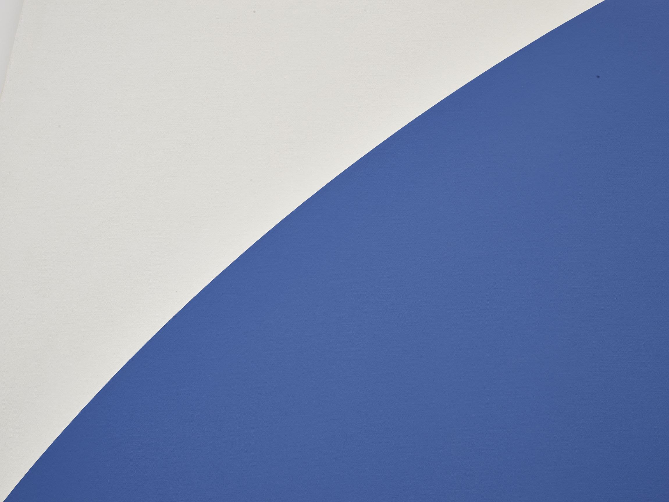 Detail view of Ellsworth Kelly's painting Blue Curve II