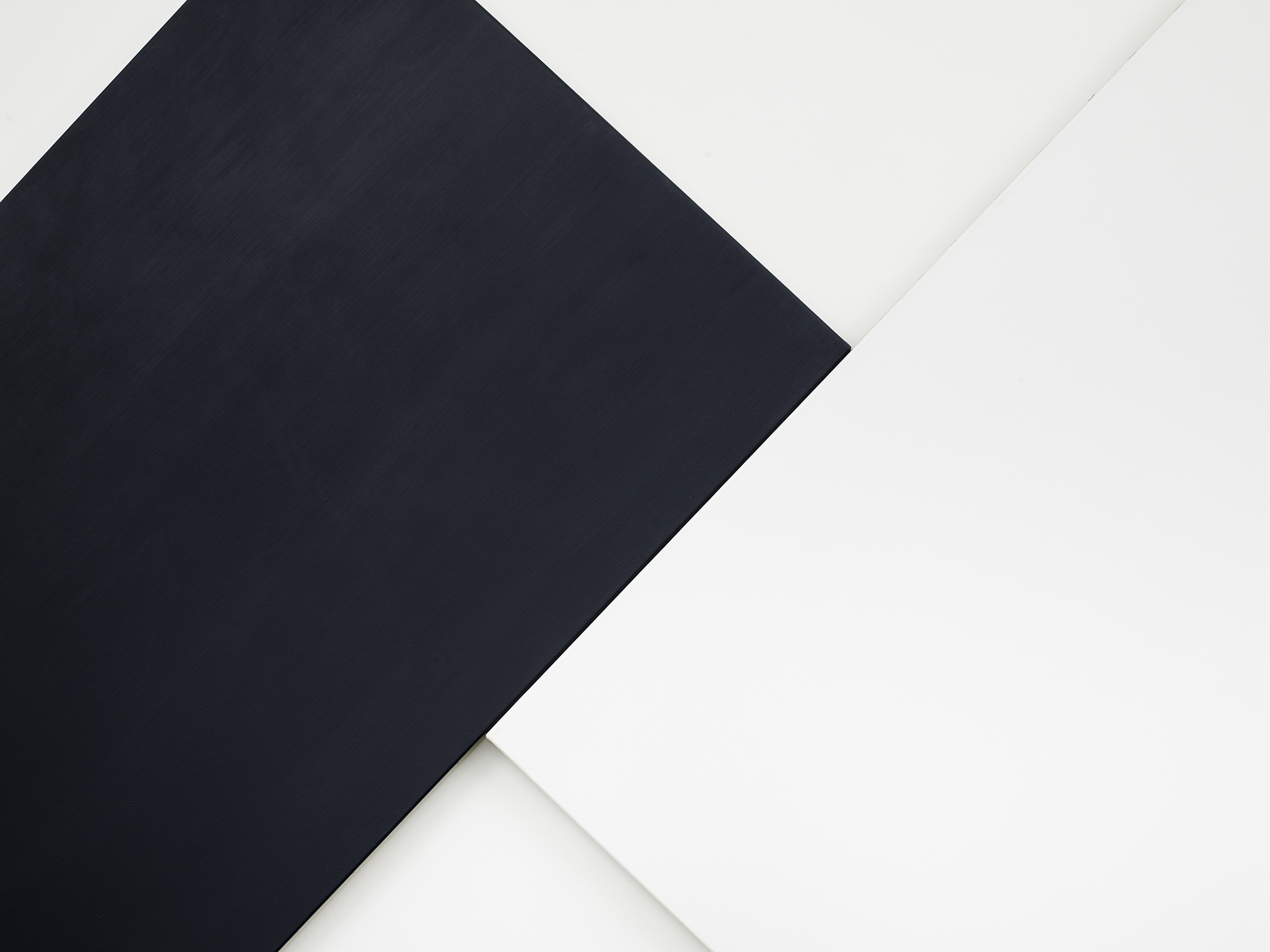 Detail view of Ellsworth Kelly's painting White Black