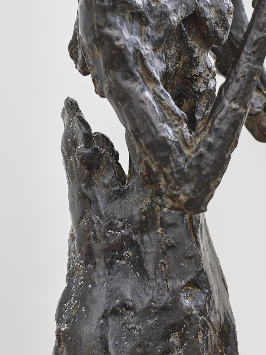 Detail view of Germaine Richier's bronze sculpture Le Grain