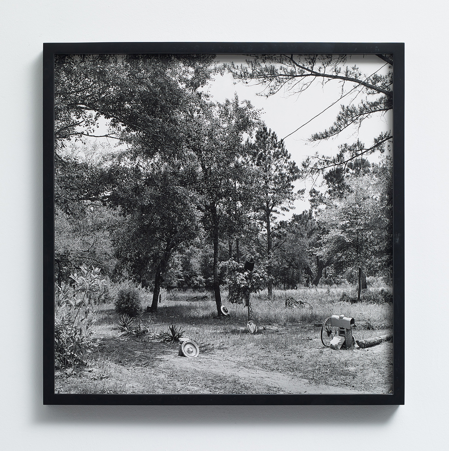 Image of Carrie Mae Weems' work Hubcaps, 1992