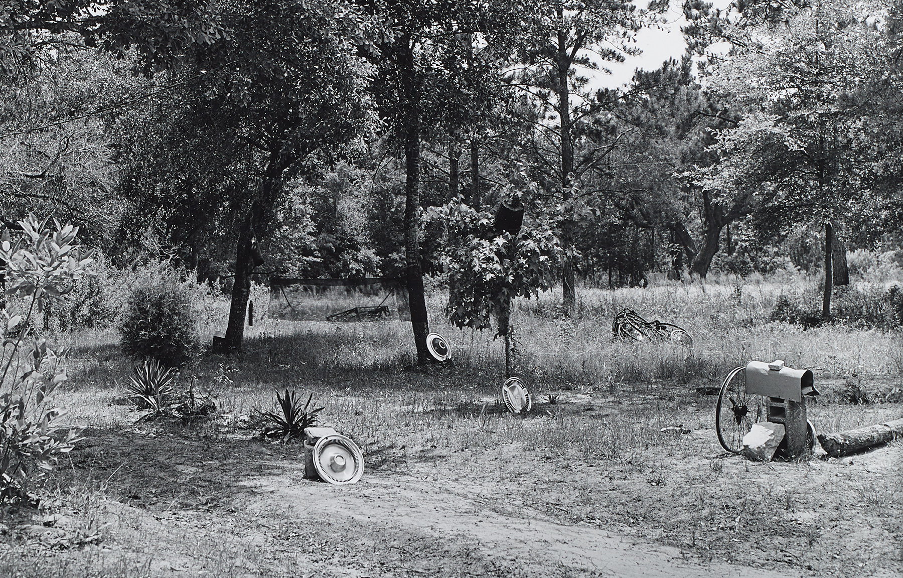 Detail view of Carrie Mae Weems' work Hubcaps, 1992