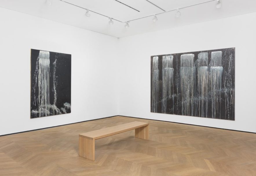 Pat Steir